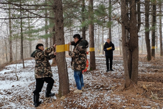 1744334362645053.jpg 46376FE3B1D875C9E3AD3C1F00F972C6.jpg