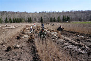 泉林公司全面打響春季造林攻堅(jiān)戰(zhàn)（2）.jpg