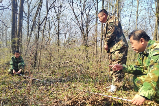 1746512424171585.jpg 大東林場黨支部開展“科學(xué)造林育林 實(shí)現(xiàn)永續(xù)利用”主題黨日活動(dòng)(1).jpg