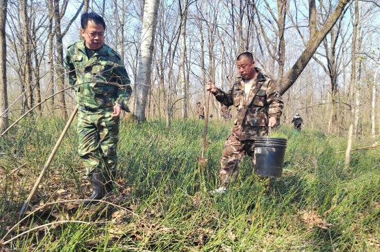 1746512429800910.jpg 大東林場黨支部開展“科學(xué)造林育林 實(shí)現(xiàn)永續(xù)利用”主題黨日活動(dòng)(2).jpg