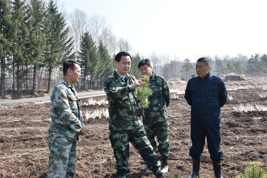 泉林公司領(lǐng)導(dǎo)深入一線督導(dǎo)檢查春季造林工作（1）.jpg