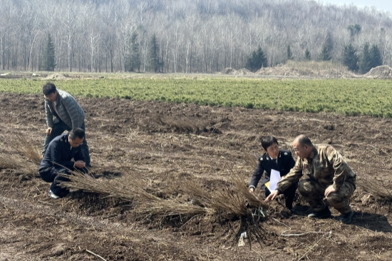 嚴(yán)把苗木檢疫關(guān)  守護(hù)綠色生態(tài)屏障（2）.jpg