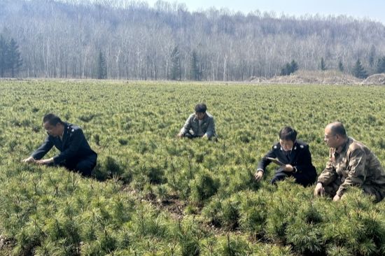 嚴(yán)把苗木檢疫關(guān)  守護(hù)綠色生態(tài)屏障（3）.jpg