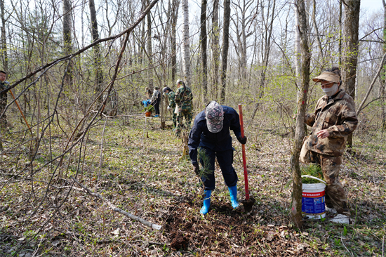 1746515663751279.jpg 黨旗紅護(hù)生態(tài)綠 聚合力促大發(fā)展泉林公司機(jī)關(guān)黨委組織開展植樹造林主題黨日活動(2).jpg