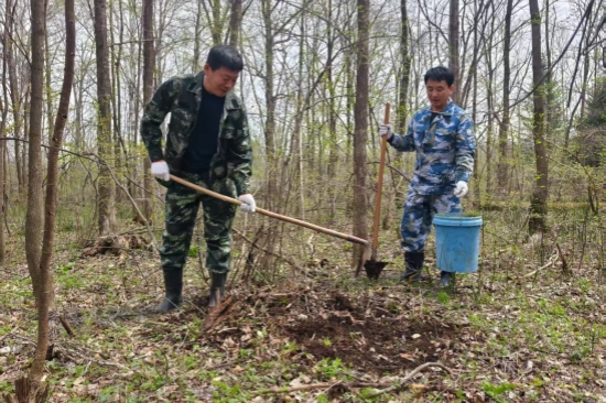 1746580026273702.jpg 營(yíng)林處:黨旗引領(lǐng)添新綠 植樹造林踐初心(2).jpg