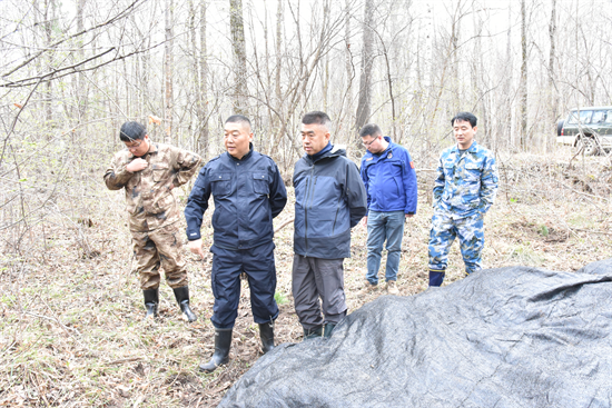 1748935809197653.png 厚植生態(tài)底色 繪就綠色畫卷 泉林公司圓滿完成2025年春季營造林任務(wù)(9).png