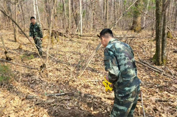 厚植生態(tài)底色  繪就綠色畫卷 泉林公司圓滿完成2025年春季營造林任務(wù)（4）.jpg