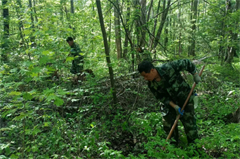 1748935931796225.jpg 厚植生態(tài)底色 繪就綠色畫卷 泉林公司圓滿完成2025年春季營造林任務(wù)(7).jpg