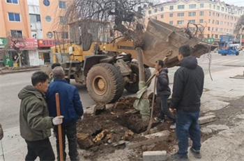 扮靚林區(qū)新顏值 共建綠色宜居家園 泉林公司全面開展環(huán)境綠化美化凈化專項行動（1）.jpg