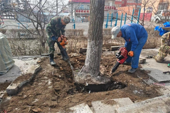扮靚林區(qū)新顏值 共建綠色宜居家園 泉林公司全面開展環(huán)境綠化美化凈化專項行動（2）.jpg