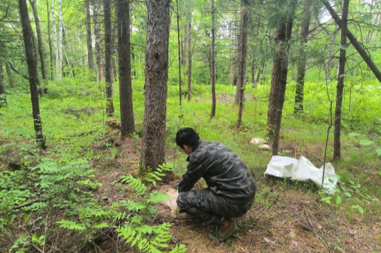 1750385412275527.jpg 防治3.jpg