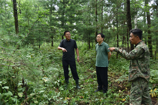 1760062873190788.jpg 吉林省林業(yè)科學研究院專家組赴泉林公司調(diào)研森林可持續(xù)經(jīng)營試點實施情況(2).jpg