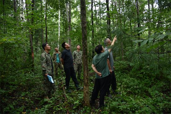 1760062903944810.jpg 吉林省林業(yè)科學研究院專家組赴泉林公司調(diào)研森林可持續(xù)經(jīng)營試點實施情況(1).jpg