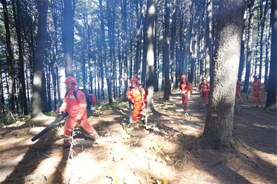 1761809374620295.jpg 興參林場(chǎng)開(kāi)展實(shí)戰(zhàn)化森林滅火演練(4).jpg