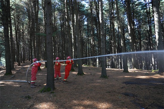 1761809388713480.jpg 興參林場(chǎng)開(kāi)展實(shí)戰(zhàn)化森林滅火演練(2).jpg